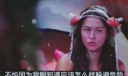 仙鹤红蝶爆料视频大全下载,揭秘幕后真相与精彩瞬间