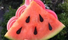 版纳网红吃瓜,揭秘热带风情下的美食诱惑