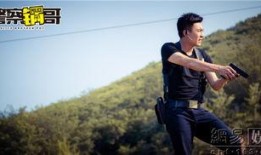 警察锅哥免费在线观看,免费在线观看，正义与幽默的完美融合