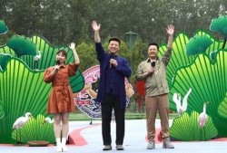 浙江野炊露营爆料视频最新,揭秘网红打卡地背后的野趣生活