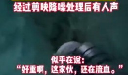 西藏冒险王爆料笔录视频,笔录视频中的惊险历程与心路历程