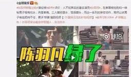 小志被爆料出轨视频,真相与争议