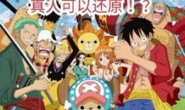 航海王爆料视频大全集,揭秘视频大全集，探寻冒险世界的精彩瞬间