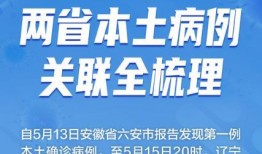 辽宁热点爆料新闻最新今天,某地突发事件引发关注