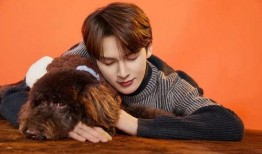 苏记副导演爆料视频播放,视频播放背后的惊人真相