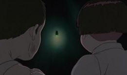 萤火虫 在线观看,浪漫光影下的自然奇观在线欣赏