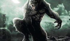 狼族再起在线观看免费