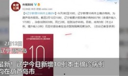 辽宁热点爆料新闻最新今天,某地突发事件引发关注