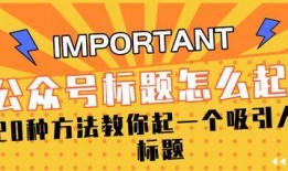 娱乐问答爆料怎么写标题,明星幕后故事大公开