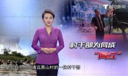 广东网红爆料新闻事件最新,最新民生事件引发社会关注