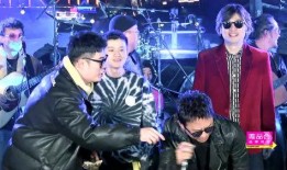 综艺五哈爆料视频大全,揭秘明星幕后趣事