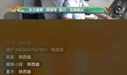 陕西一套直播在线观看,实时掌握陕西新闻动态，尽享精彩直播盛宴