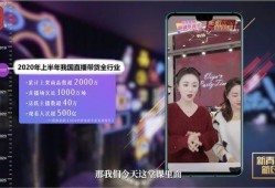 薇娅爆料视频,幕后真相与行业内幕大曝光