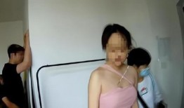 丽芙被爆料小三视频,真相与争议