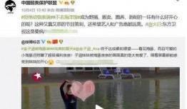 圈内人士爆料金子涵背景,圈内人士曝惊人内幕
