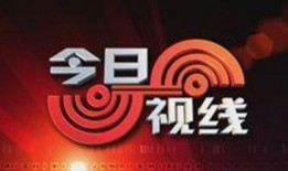 深圳今日说法爆料热线,揭秘热线背后的真实故事