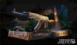 和平精英皮肤大爆料最新,最新爆料揭示神秘新皮肤！