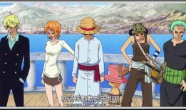 航海王爆料视频大全集,揭秘视频大全集，探寻冒险世界的精彩瞬间