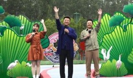 新疆平安爆料最新消息视频,最新视频揭露惊人真相