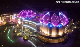 浙江野炊露营爆料视频最新,揭秘网红打卡地背后的野趣生活