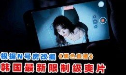 韩国在线限制在线观看,韩国网络监管下的在线观看限制揭秘