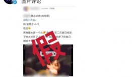 忆崽崽爆料视频