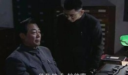 谍战吃瓜从潜伏洪秘书开始免费,谍战风云中的神秘较量