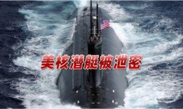 德国爆料海狼事件视频,揭秘神秘潜艇失踪之谜