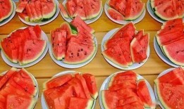 吃瓜群众泡菜视频大全免费观看,吃瓜群众泡菜视频大全，一网打尽热门美食瞬间