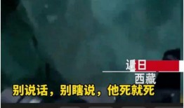 西藏冒险王爆料笔录视频,笔录视频中的惊险历程与心路历程