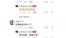 二八事件最新爆料视频