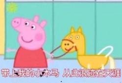 网红小猪爆料视频播放下载,揭秘热门内容背后的秘密