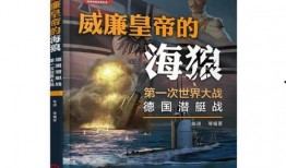德国爆料海狼事件视频,揭秘神秘潜艇失踪之谜