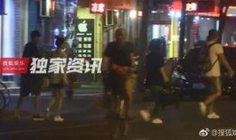 王丽坤狗仔爆料视频播放,揭秘娱乐圈幕后真相