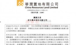 华润爆料最新消息,揭秘行业内幕，深度解析市场动态”