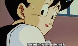 在线观看日常,解锁日常观看新体验