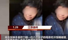 丰县八孩爆料事件视频,揭开尘封的悲剧与社会的反思