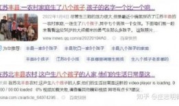 丰县八孩爆料事件视频,揭开尘封的悲剧与社会的反思